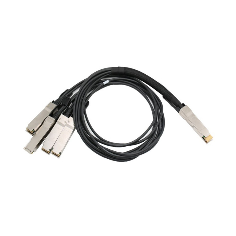 400G-QSFP-DD-Passive-Breakout-DAC-Cable-(QSFP-DD-ወደ-4xQSFP56)2